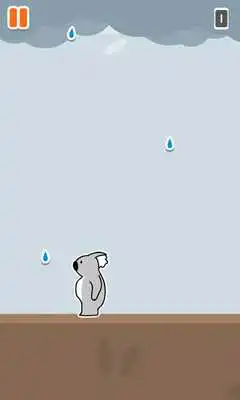 Play Koala Hates Rain