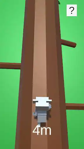 Play Koala Not Panda  and enjoy Koala Not Panda with UptoPlay