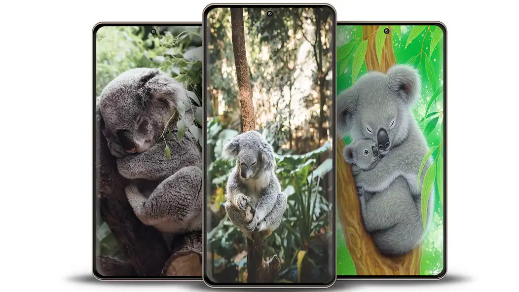 Play Koala Wallpaper Blue  and enjoy Koala Wallpaper Blue with UptoPlay