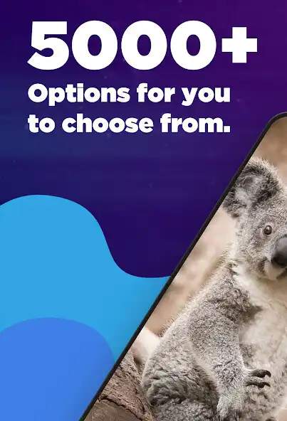 Play Koala Wallpaper Blue as an online game Koala Wallpaper Blue with UptoPlay