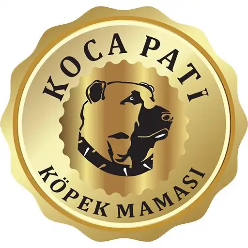 Play Kocapati APK