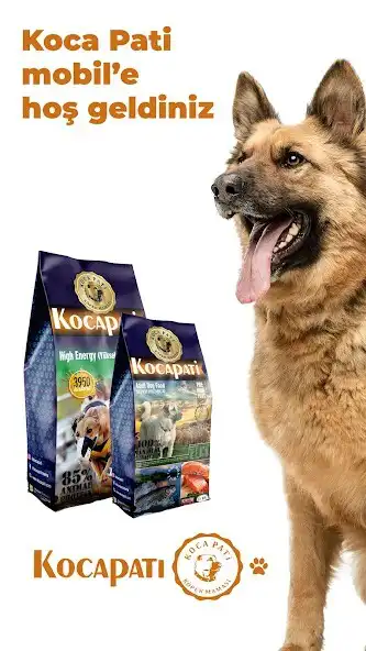 Play Kocapati and enjoy Kocapati with UptoPlay Play Kocapati and enjoy Kocapati with UptoPlay