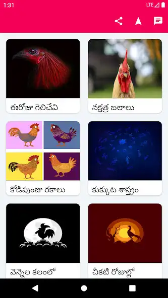 Play Kodi Sastram  and enjoy Kodi Sastram with UptoPlay
