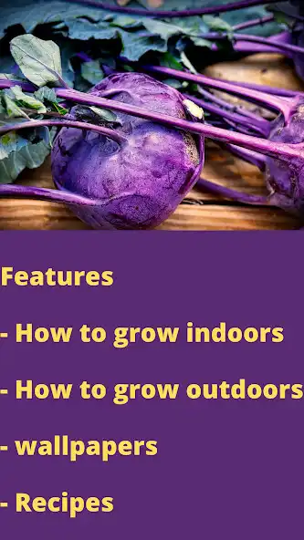 Play Kohlrabi  and enjoy Kohlrabi with UptoPlay
