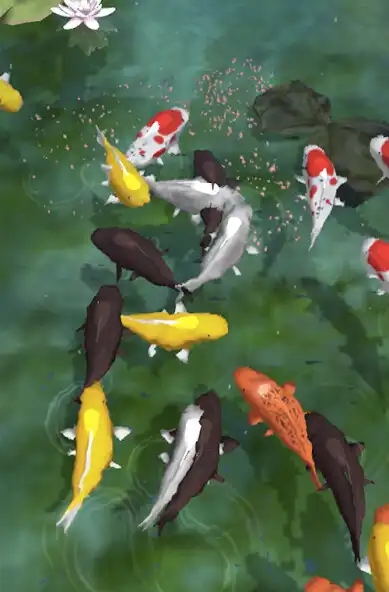 Play Koi Feeder as an online game online Koi Feeder with UptoPlay Play Koi Feeder as an online game Koi Feeder with UptoPlay