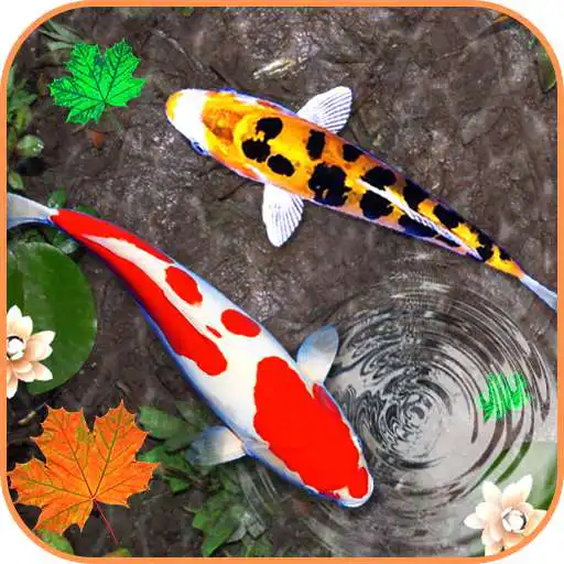 Free play online Koi Fish Aquarium Wallpaper : 3D Theme Backgrounds  APK