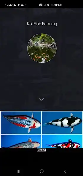 Play Koi Fish Guide - Farming, Care, Maintenance  and enjoy Koi Fish Guide - Farming, Care, Maintenance with UptoPlay