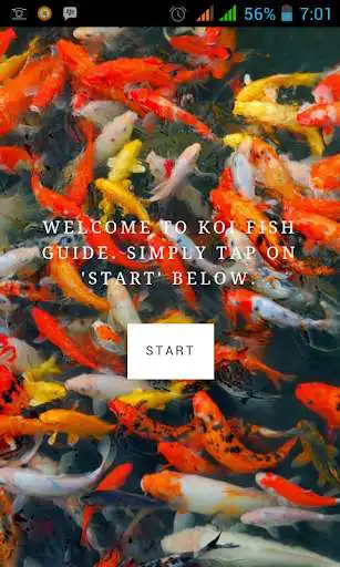Play Koi Fish Guide  and enjoy Koi Fish Guide with UptoPlay