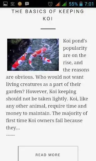 Play Koi Fish Guide as an online game Koi Fish Guide with UptoPlay