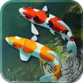 Free play online Koi Fish Live Wallpaper 3D: Aquarium Background HD APK Free play online Koi Fish Live Wallpaper 3D: Aquarium Background HD APK