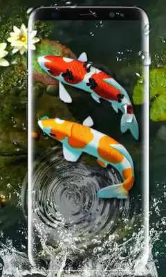 Play Koi Fish Live Wallpaper 3D: Aquarium Background HD