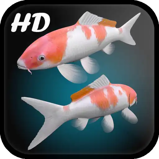 Play Koi Fish Live Wallpaper 3D APK