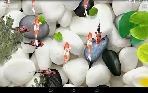 Play Koi Fish Live Wallpaper 3D as an online game Koi Fish Live Wallpaper 3D with UptoPlay