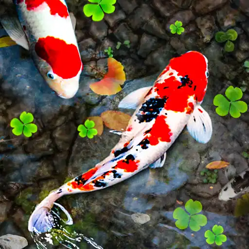 Play Koi Fish Live Wallpapers HD APK