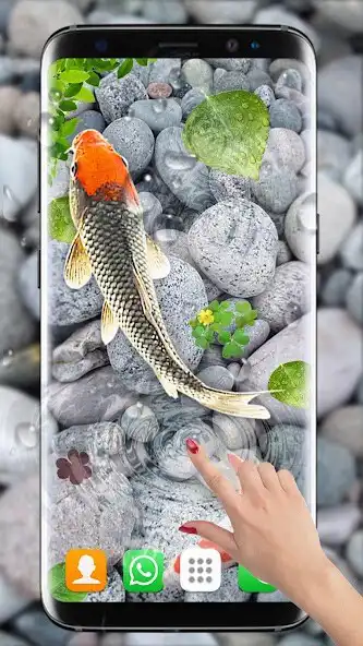 Play Koi Fish Live Wallpapers HD as an online game Koi Fish Live Wallpapers HD with UptoPlay