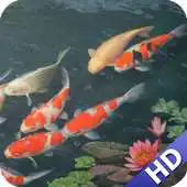 Free play online Koi Fish Pack 3 Wallpaper APK Free play online Koi Fish Pack 3 Wallpaper APK