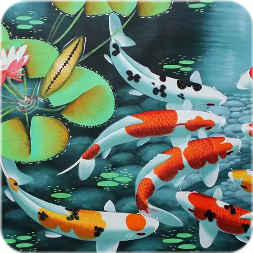 Play Koi Fish Pond Wallpaper APK