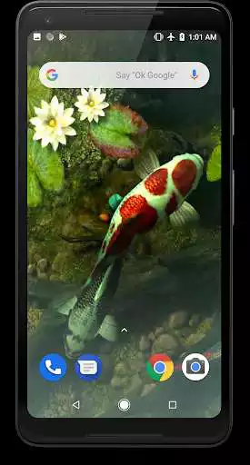 Play Koi Fish Video Live Wallpaper  and enjoy Koi Fish Video Live Wallpaper with UptoPlay