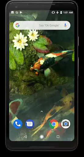 Play Koi Fish Video Live Wallpaper as an online game Koi Fish Video Live Wallpaper with UptoPlay