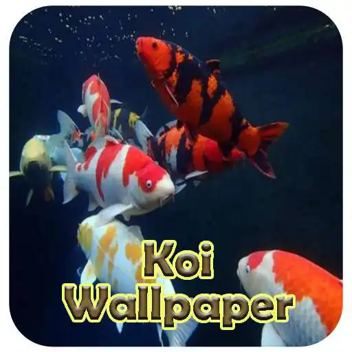 Play Koi Live Wallpaper 3D APK