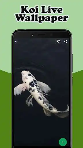 Play Koi Live Wallpaper 3D  and enjoy Koi Live Wallpaper 3D with UptoPlay