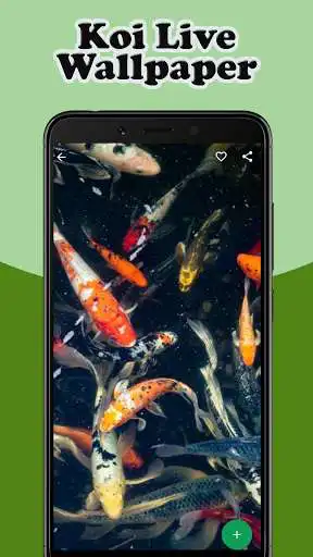 Play Koi Live Wallpaper 3D as an online game Koi Live Wallpaper 3D with UptoPlay