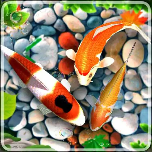 Play Koi Pet Fish Live Wallpaper APK Play Koi Pet Fish Live Wallpaper APK