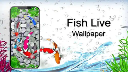 Play Koi Pet Fish Live Wallpaper  and enjoy Koi Pet Fish Live Wallpaper with UptoPlay