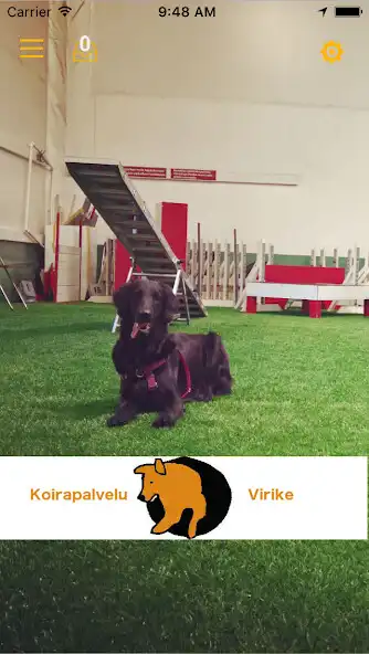 Play Koirapalvelu Virike  and enjoy Koirapalvelu Virike with UptoPlay