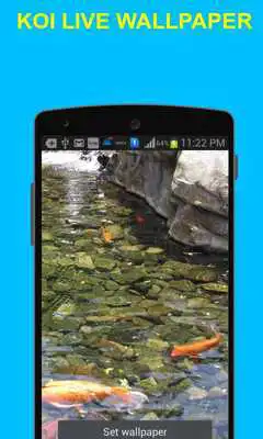 Play Koi Wallpaper - Moving Screen