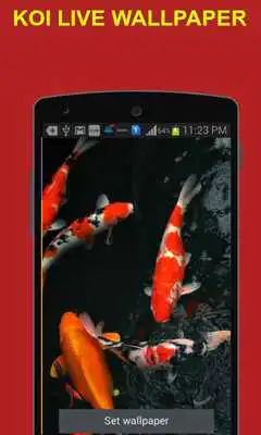 Play Koi Wallpaper - Moving Screen