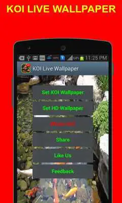 Play Koi Wallpaper - Moving Screen