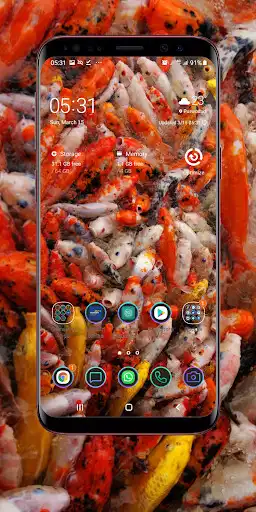 Play Koi Wallpaper  and enjoy Koi Wallpaper with UptoPlay