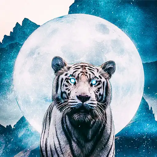 Play KOKA art wallpapers 4k APK