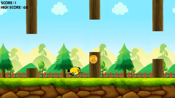 Play KoKo Fly Play KoKo Fly