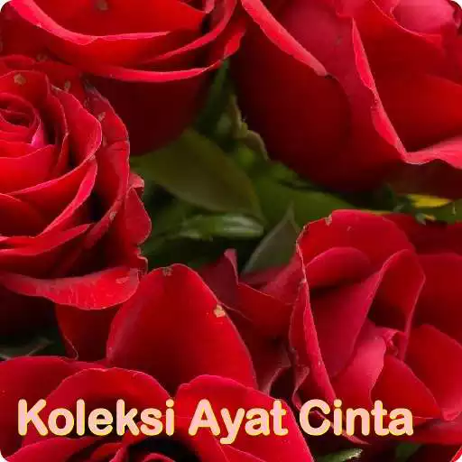 Run free android online Koleksi Ayat Cinta APK