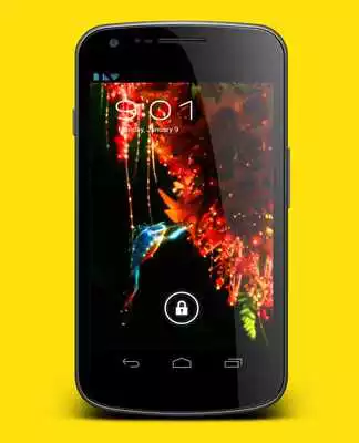 Play Kolibri Magic Live Wallpaper