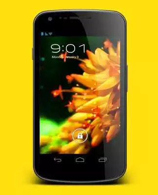 Play Kolibri Magic Live Wallpaper