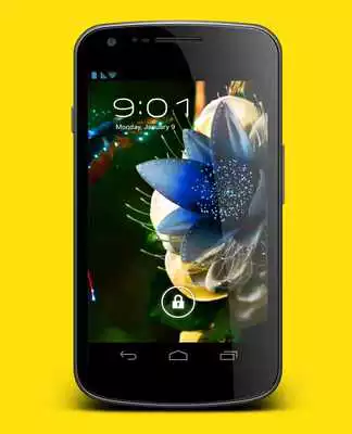 Play Kolibri Magic Live Wallpaper