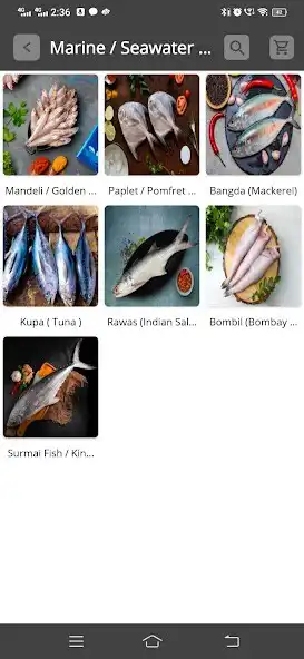 Play Kolin - Fresh Fish Alibag as an online game Kolin - Fresh Fish Alibag with UptoPlay