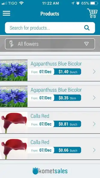 Play Komet Sales as an online game Komet Sales with UptoPlay