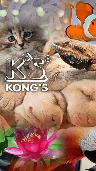 Play Kongs  and enjoy Kongs with UptoPlay