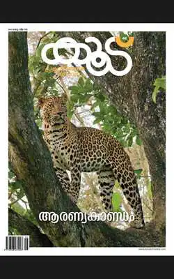 Play Koodu - Heart Beat of Nature
