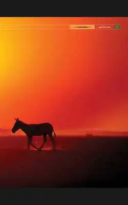 Play Koodu - Heart Beat of Nature