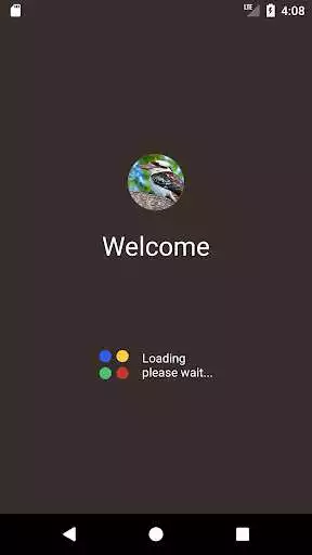 Play Kookaburra Sounds  and enjoy Kookaburra Sounds with UptoPlay