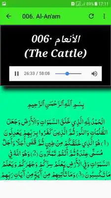 Play Koran Read  Audio Mustafa Raad al Azzawi Offline