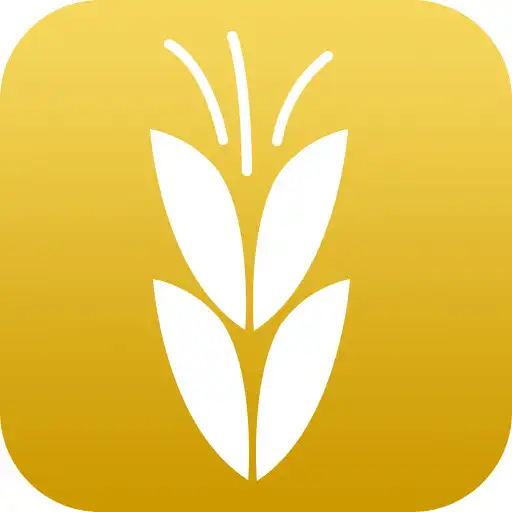 Play Kordex APK Play Kordex APK