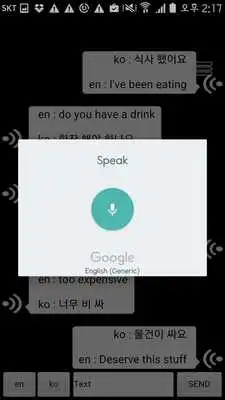 Play Korean English translation