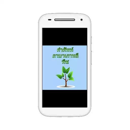 Play Korean plant vocabulary