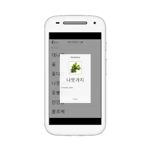 Play Korean plant vocabulary